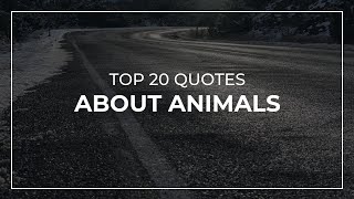 TOP 20 Quotes about Animals | Daily Quotes | Motivational Quotes | Trendy Quotes