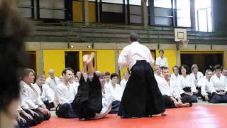 Seminar with Christian Tissier Shihan, 7. Dan Aikikai in Extertal 2011