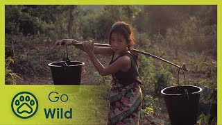 Laos Wonderland (full documentary) - The Secrets of Nature