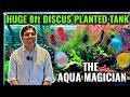 DISCUS FISH PLANTED TANK | THE AQUA MAGICIAN