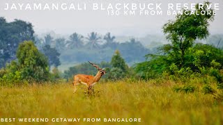 Jayamangali Blackbuck Reserve | Madhugiri | Drone Shots | Best Weekend Getaway From Bangalore