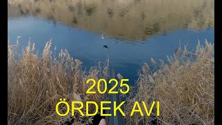 Irmakta Ve Barajda Ördek Avı 2025. Duck Hunting 2025.