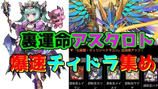 裏運命の三針アスタロトチィリンドラゴン杯【パズドラ】マルチ