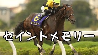 地方競馬予想　サンタアニタトロフィー 　セイントメモリー　南関新聞　大井競馬