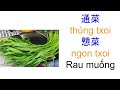 tiếng quảng Đông 101 cÁc loai rau cỦ ￼￼￼ 蔬菜類