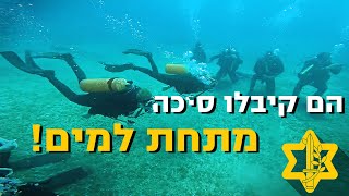 רעל בעיניים: סרטוני המסעות האלה ידהימו אתכם | צה\