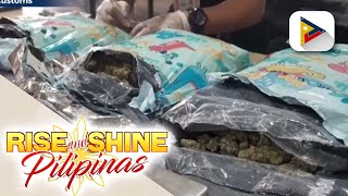 P2.5-M halaga ng high-grade marijuana, nasabat sa Pampanga