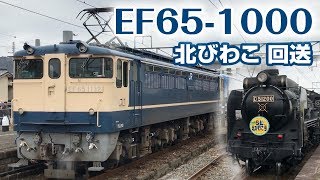 【鉄道旅】EF65に牽かれる客車！（後編）☆D51北びわこ号回送列車と木ノ本散歩