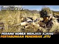 PENGERAHAN PASUKAN SNIPER DI PERANG KOREA | alur cerita film perang