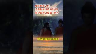 佛陀觉悟之后去鹿野苑寻找五位同伴 将转动真理之轮令其播于四方  #佛陀的故事