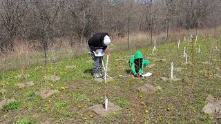 Gore Meadows Community Centre Planting Site Drone Video (2024)