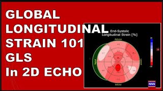 Global Longitudinal Strain  GLS 101 by 2D Echo | Dr Nik Nikam