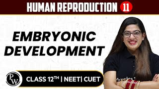 Human Reproduction 11 | Embryonic Development | Pure English | 12th / NEET/CUET