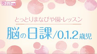 とっとりまなびや園-レッスン紹介【脳の日課】0.1.2歳児