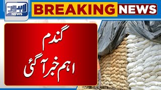 Wheat , Important News About Price | Lahore News HD