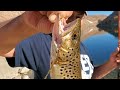 Bishop CA Fishing - Owens River