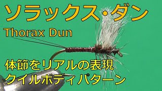 【ソラックスダン（クイルボディ）の巻き方】（実技）ソラックスダンのボディをクイルボディで巻いてみました。