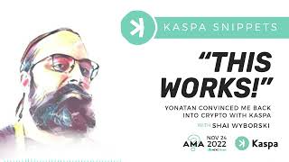 KASPA AMA Snippet: THIS WORKS!