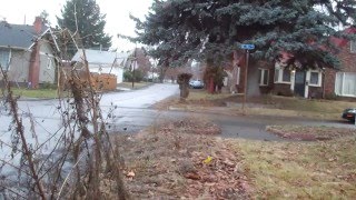 Preparing the yard for spring: Wildflower bed