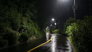 한밤중에 공원 산책길 숲에 내리는 폭우 빗소리, 그리운 사람이 생각나는 양평읍 갈산공원
