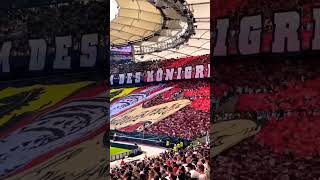 Choreo VfB Stuttgart Ultras Against Hoffenheim #vfb#vfbstuttgart#stuttgart#cannstatterkurve#VFBTSG