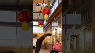 kung fu cool skill pop balloons with kick