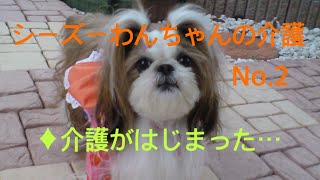 ♦介護がはじまった・・・【💎シーズーわんちゃんの介護　No.2】＃シーズー　＃Shih Ztu 　＃わん　＃老犬　＃シニア　＃17歳　＃介護　＃奮闘記