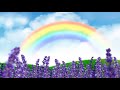 lavender field moving background with rainbow and blue sky video loops