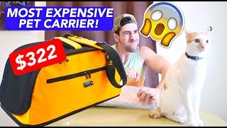 PHP16,000++ BAG for MY CAT( MAUI BOY)  Pet Carrier UNBOXING!!