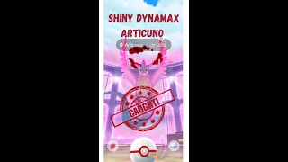 I Did Max Raid and Got Shiny Dynamax Articuno