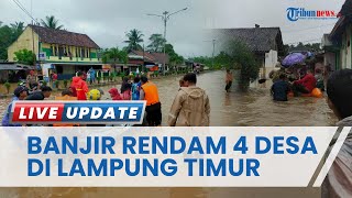 Hujan Berintensitas Tinggi akibatkan Empat Desa di Lampung Timur Terendam Banjir