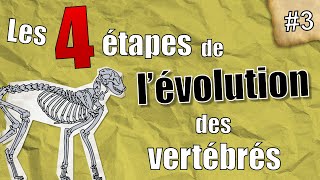 Paléo-J #3 : les 4 étapes de l'évolution des Vertébrés