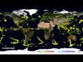 IMERG Global Precipitation Rates