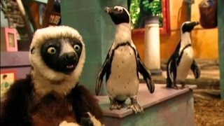 Zoboomafoo Cap. 34: \