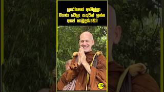 බලන්න උන්වහන්සේ මොනතරම් සතුටින් සැහැල්ලුවෙන්ද ඉන්නෙ ❤️