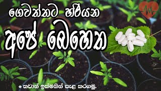 ගෙවත්තේ පැලවල ප්‍රතිශක්තිකරණය වැඩිකරන්න බෝගවලට අපිත් බොන ඇස්ප්‍රින් (asprine for garden)