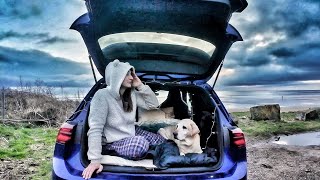 CAR CAMPING in a VW GOLF - Last Adventure for One Girl and Her Dog