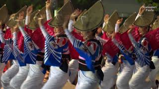 高円寺阿波おどり・いろは連_みなみ演舞場_20180826 Awaodori in Koenji Tokyo Japan