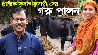 826-গরুর খামার,গরু পালন করে গ্রামের প্রন্তিক কৃষক কৃষণিরা কেমন আছে?R.I.Manik.Chitrapuri Krishichitra