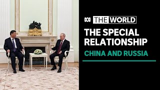 Putin flaunts alliance with Xi as 'dear friends' meet in Kremlin | The World