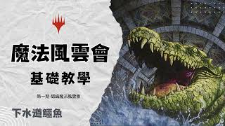 [基礎教學系列]1.認識魔法風雲會 #魔法風雲會 #教學 #mtg