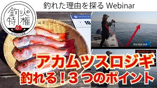 アカムツジギング：釣れる！３つのポイント！スロージギングをスロー動画で分析！