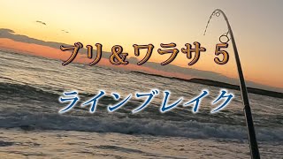 遠州灘海岸物語145　ブリ＆ワラサ５　ラインブレイク