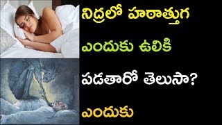 నిద్రలో హఠాత్తుగ ఎందుకు ఉలికి పడతారో తెలుసా | why some people wake up suddenly while sleeping | tips