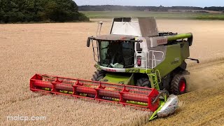 4Kᵁᴴᴰ Harvest 2023: Claas Lexion 650 + V770 Vario header working near the River Deben in Falkenham