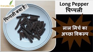 Pippali | Pipli | पिप्पली | लाल मिर्च का अच्छा विकल्प | Pungent \u0026 Aromatic Spice |Everyday Life #115