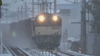 寒波の影響で降雪模様となる、信越本線安茂里駅を雪煙を上げて通過する、211系快速列車と、JR貨物EF64-1036牽引83レ北長野貨物。