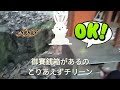 【箕六弁財天社】googleマップで行けない神社_和歌山県紀美野町の山奥に潜む箕六弁財天社に行ってみた_道順も分かるよ〜