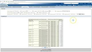 Payroll Search Dashboard in BI