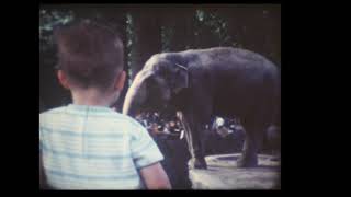 Peter neemt bomma en bompa mee naar de zoo van Antwerpen.